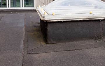 disadvantages of Nodmore flat roofs
