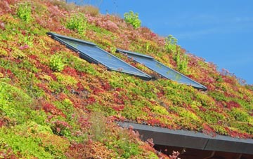 Nodmore living roof systems