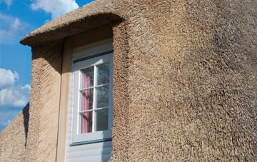 Nodmore thatch roof disadvantages